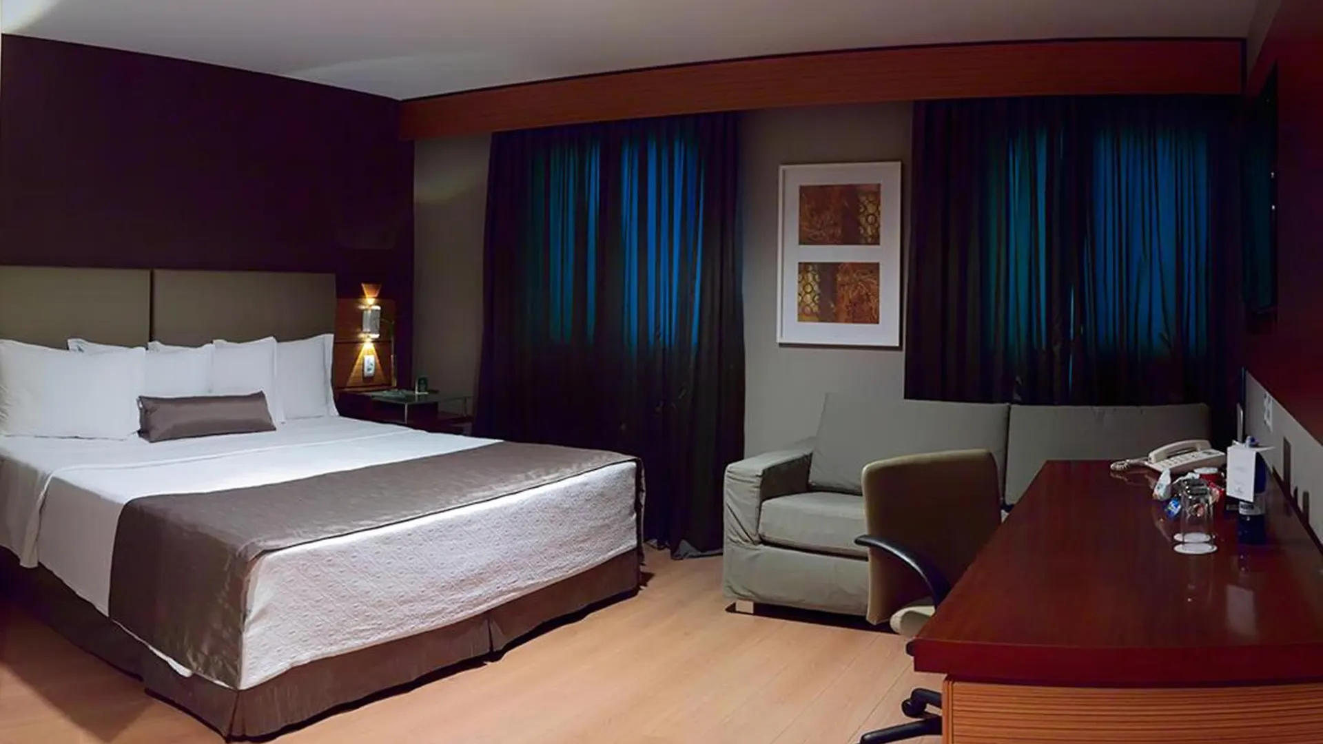 Wyndham Sao Paulo Ibirapuera Convention Plaza酒店 酒店